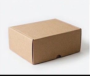 Kraft cardboard shipping box
